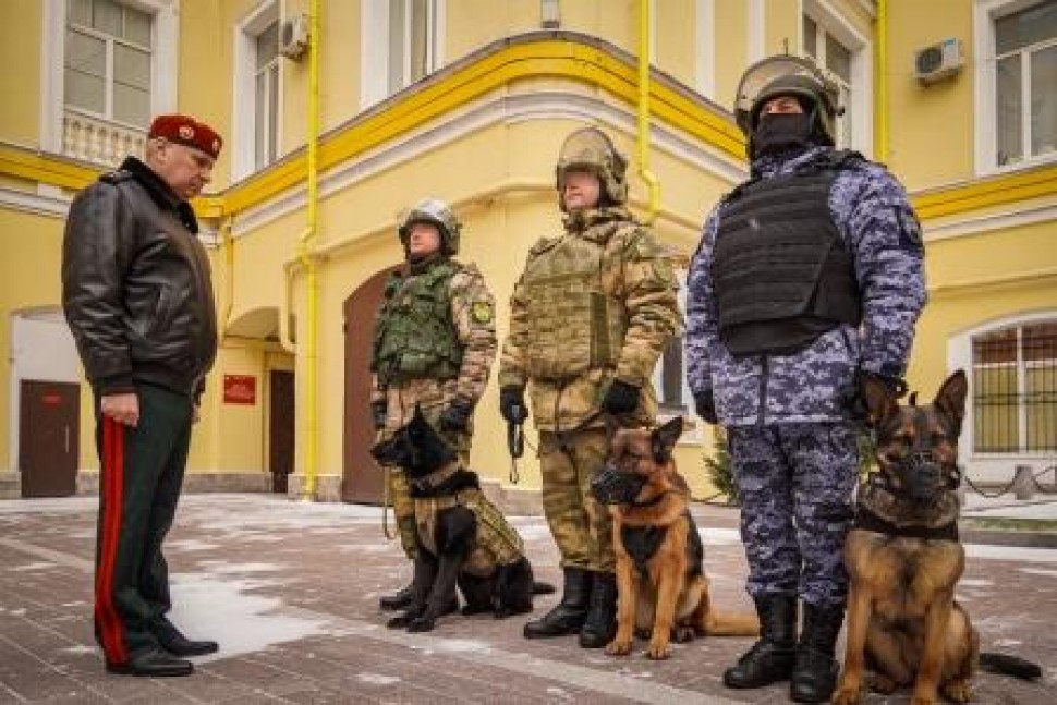 Генерал-лейтенант Алексей Воробьев рассказал о подвиге на СВО  служебных собак из Архангельска